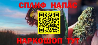 сатива Бийск