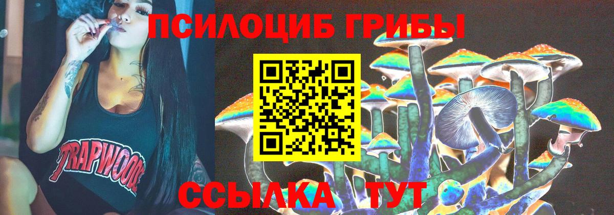 Псилоцибиновые грибы GOLDEN TEACHER Гусиноозёрск