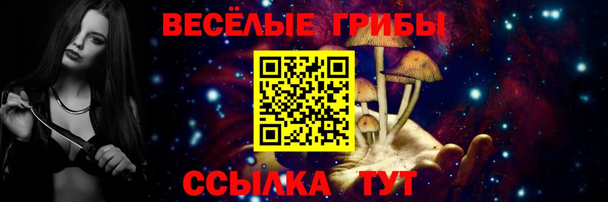 Псилоцибиновые грибы GOLDEN TEACHER Гусиноозёрск